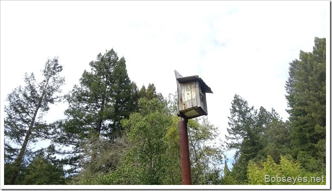 birdhoiuse birdhoiuse