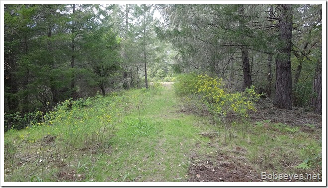 trail trail