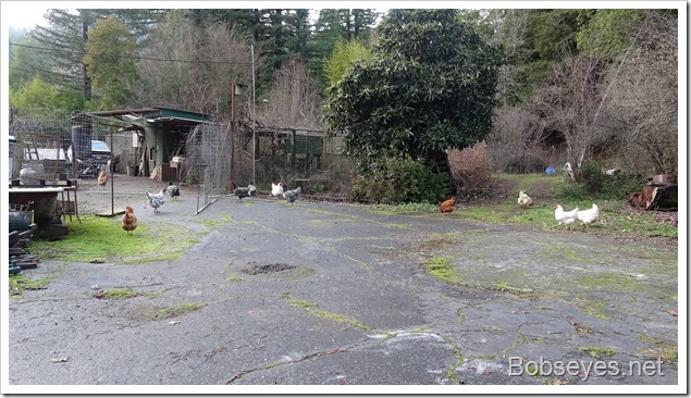 I Rode Up Into the Forest To Cut Up That Big Log I Rode Up Into the Forest To Cut Up That Big Log