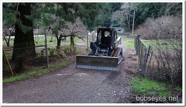 Blog Transfer and I Take Some Dead Trees Off a Neighbor’s Road Blog Transfer and I Take Some Dead Trees Off a Neighbor’s Road